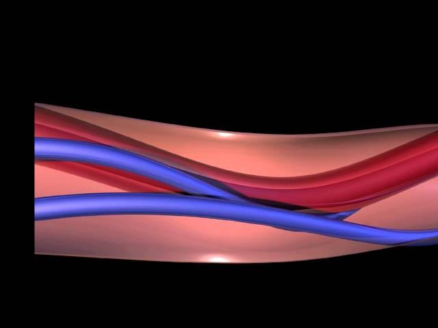 Physiology of FHR Decelerations