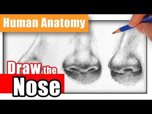 How to Draw a Nose the Easy Way - Different Angles