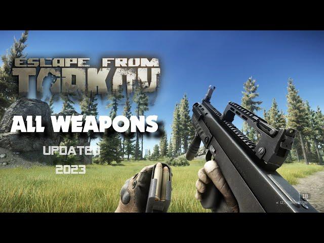 Escape From Tarkov - All Weapons Reload and Inspect Animations - 2023