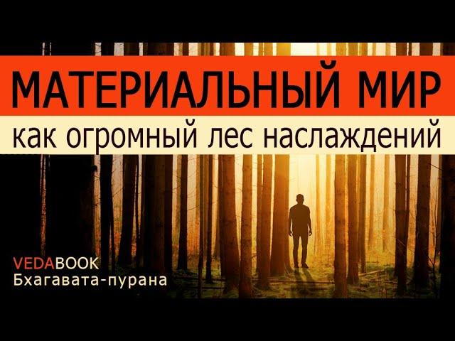 Материальный мир как огромный лес наслаждений / Шримад Бхагаватам. Веды, философия, отречение