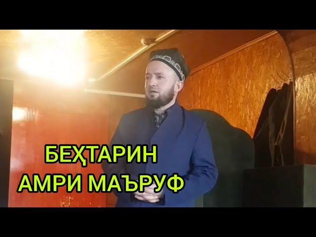 БЕҲТАРИН АМРИ МАЪРУФ ДОМУЛЛО АБДУЛКОДИР 2023