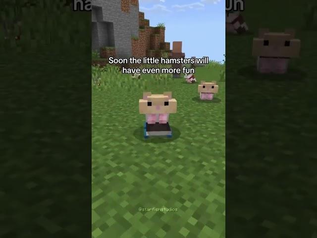 More Hamster Items in our upcoming Hamsters Add-On! #minecraft #gaming #addon #bedrock