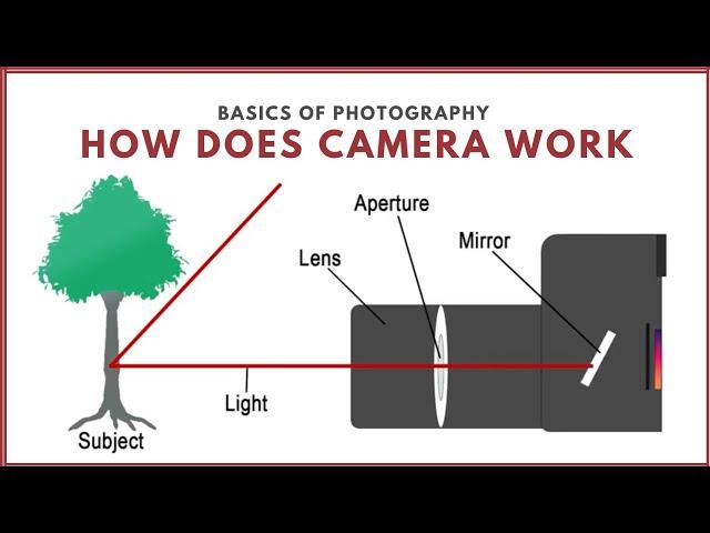 How does camera work in hindi | Basics of photography | Lalit Mohan Pandey