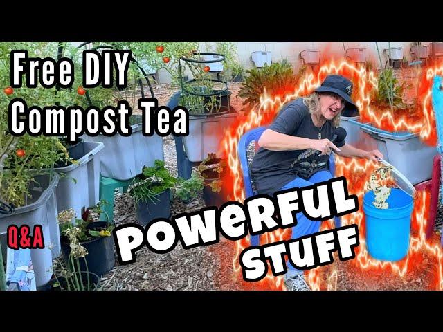 FREE How to Make Compost Tea Plant Fertilizer 2 Ways & How to Use it To Water Your Vegetable Plants