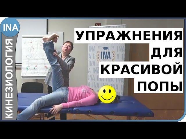 Как накачать попу? Упражнения на ягодицы для красивой попы. Кинезиология