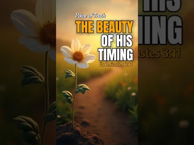 The Beauty of His Timing | Daily Devotion #morningprayer #christianmotivation #dailydevotional