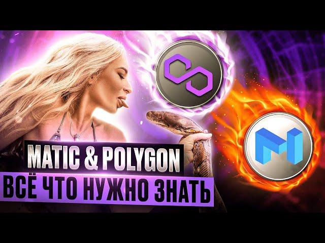 Что такое MATIC network Polygon полный обзор проекта. История и разбор проекта