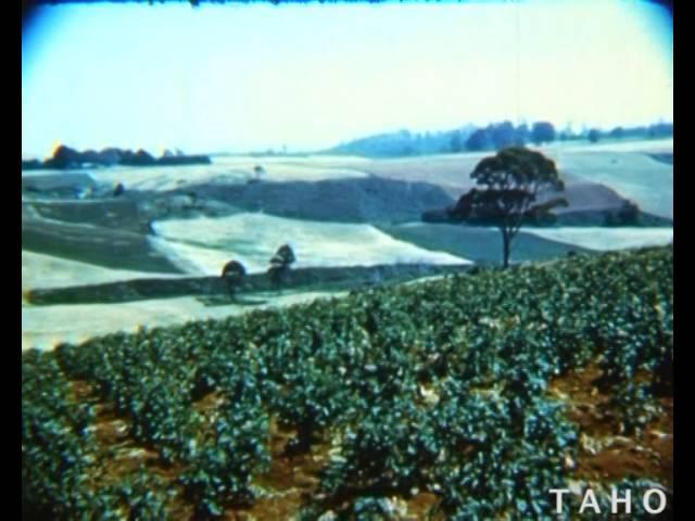 Bass Highway - Part 3 (1953)