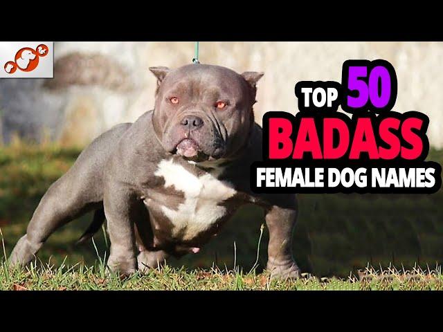  TOP 50 Badass Dog Names For Female!