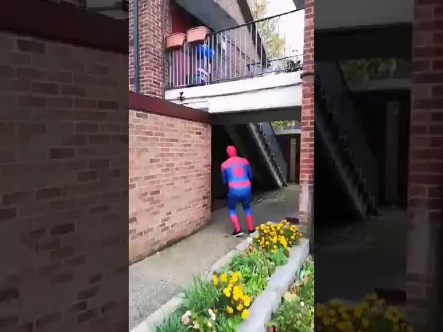 Spiderman surprise