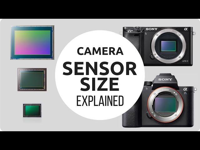 Camera Sensor Size Explained