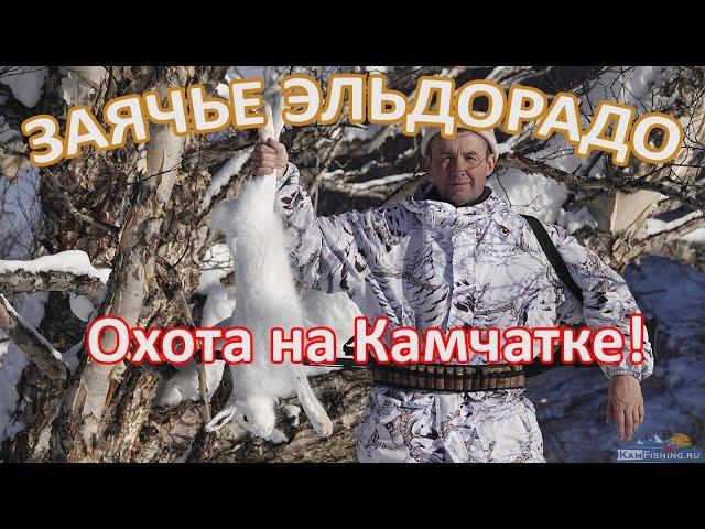 18+ Фильм "Зимняя охота на ЗАЙЦА на КАМЧАТКЕ", где Вы увидите её особенности и уникальные моменты.