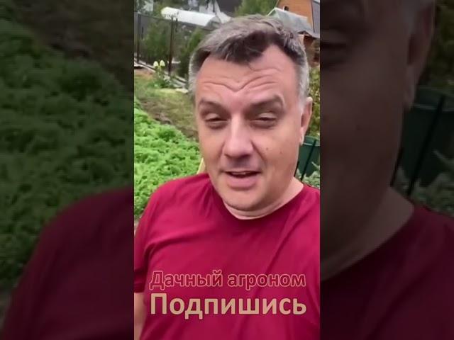Удивительная история про Огород XXI века
