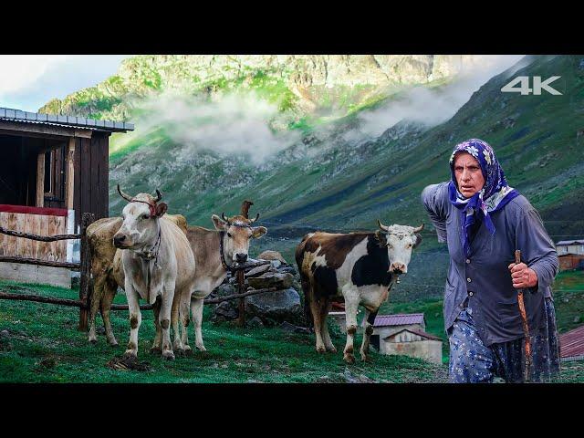 Transhumance Woman in Anzer | Documentary ▫️4K▫️