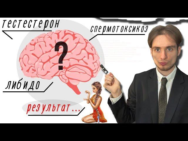 КАК ПОРНОГРАФИЯ МЕНЯЕТ МОЗГ? | Удивительный факт