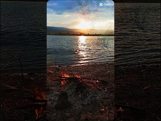 На даче #дача #река #природа #лето #отдых #релакс #бурятия #уланудэ #цветы #красота