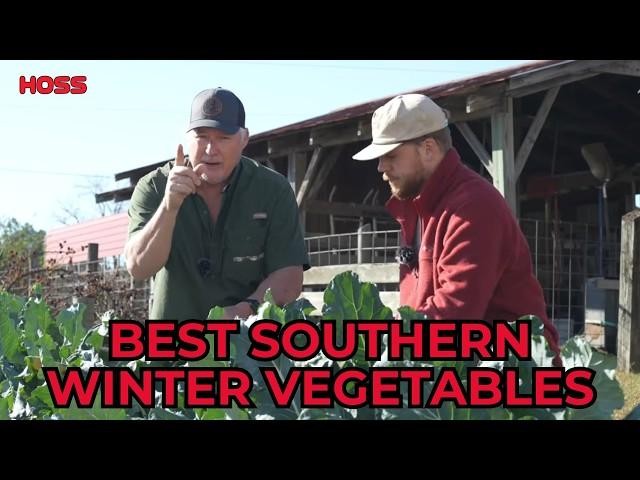 Top 5 Winter Vegetables for the South