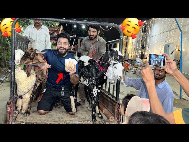 3 BAKRA AK DUMBA LE LAYA  SODA HO GAYA | SYED FAHAD