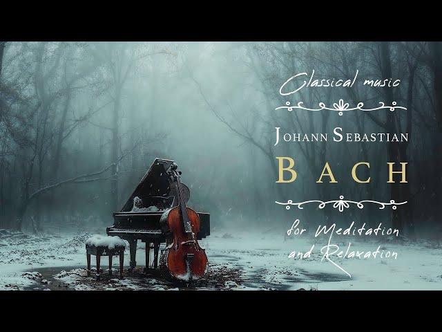 Johann Sebastian Bach Classical Music for Meditation, Relaxation, Study | 14 Essential Pieces