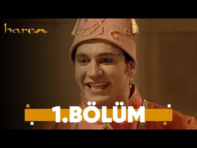 Harem - 1. Bölüm