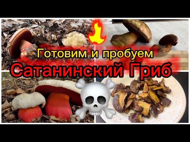 Момент истины!Готовим Сатанинский гриб!не повторяйте этого!Трюк исполнен профессиональным грибоедом!