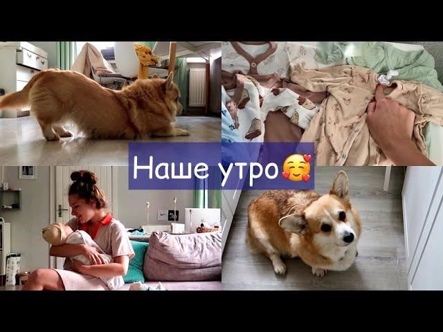 УТРО С 4-х МЕСЯЧНЫМ МАЛЫШОМ и коржиками так долго хотела и не получилось VLOG