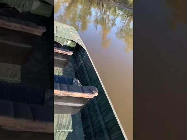 Sliding around carlyle lake #airranger#airboats#carlyleairboats#illinoisairboaters