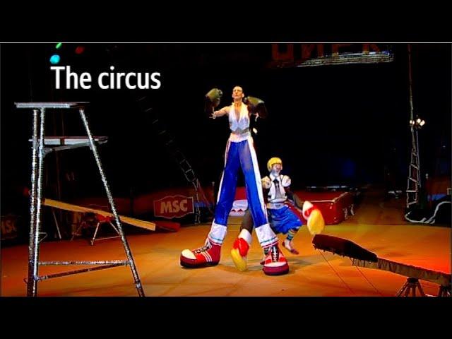 Moscow State Circus