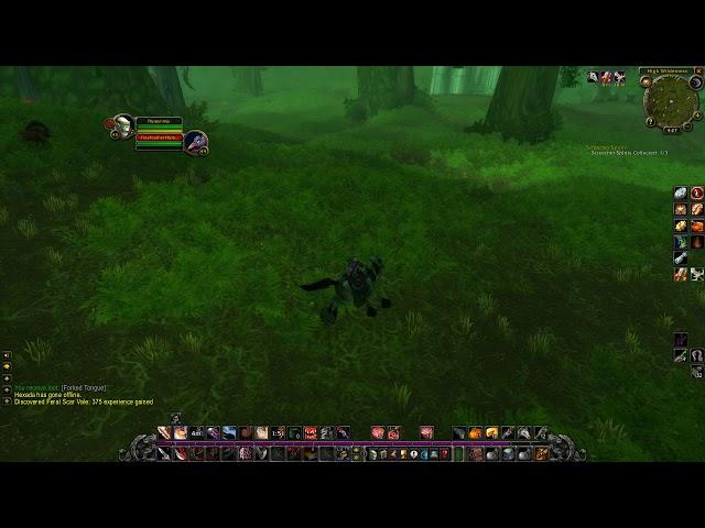 World Of Warcraft Classic Screecher Spirits - Quests