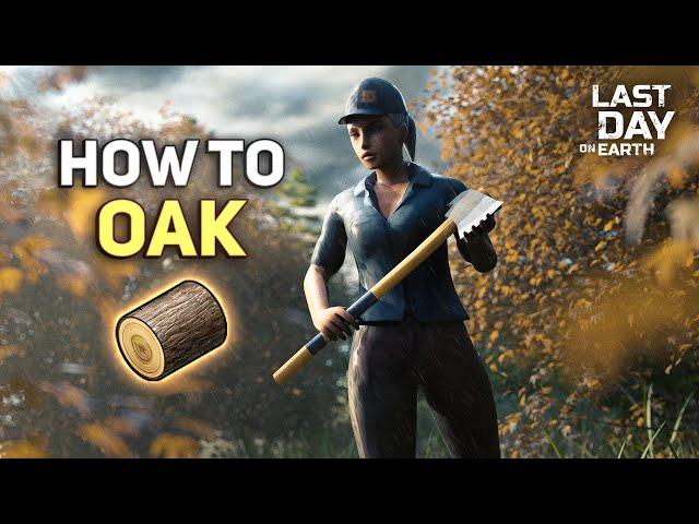 BEST WAY TO FARM OAK FOR BEGINNERS! - Last Day on Earth: Survival