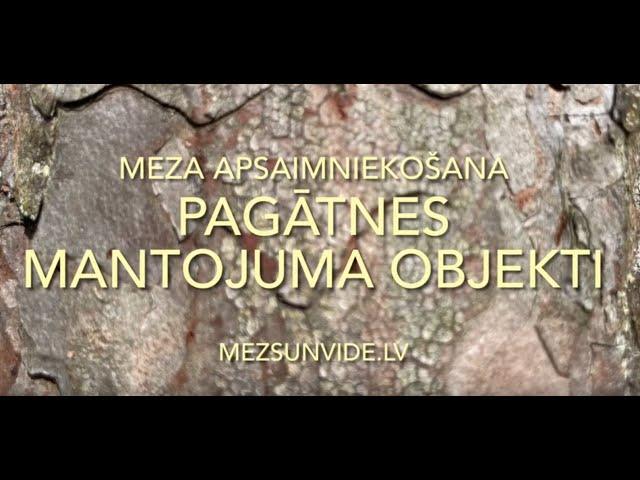 Pagātnes mantojums mežā