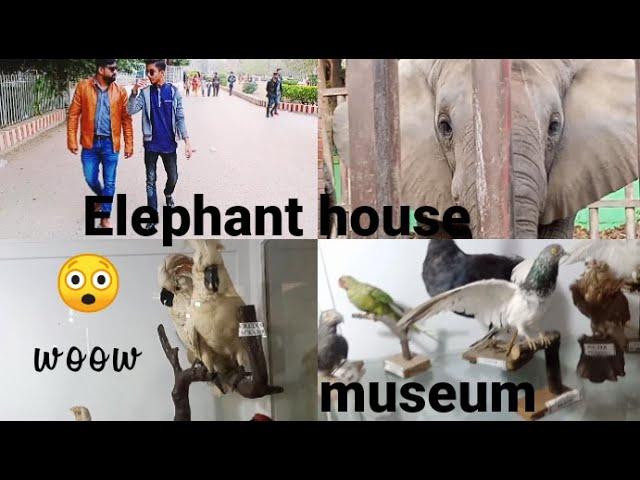 Exploring One Of The Bets Zoo In Karachi | Part #2 | Zainwahabvlogs |