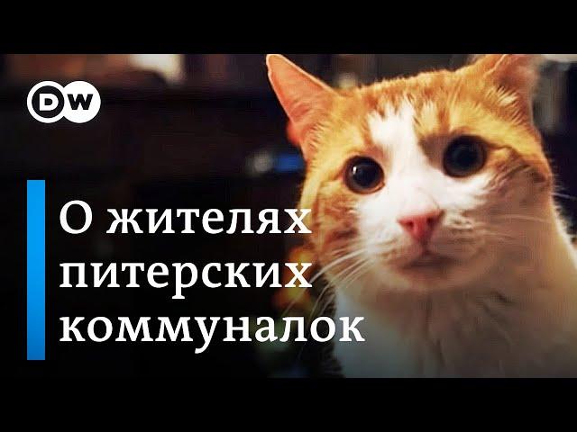 О питерской коммуналке и ее жителях | От Петербурга до Камчатки | репортаж DW (2)"