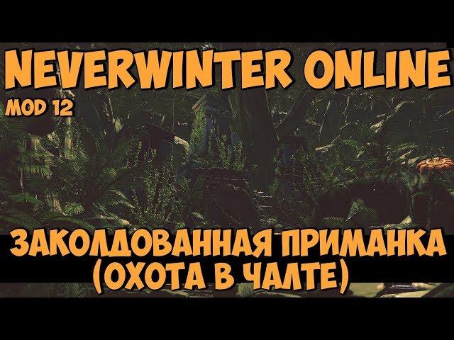 Заколдованная Приманка (Охота в Чалте) | Neverwinter Online | Mod 12