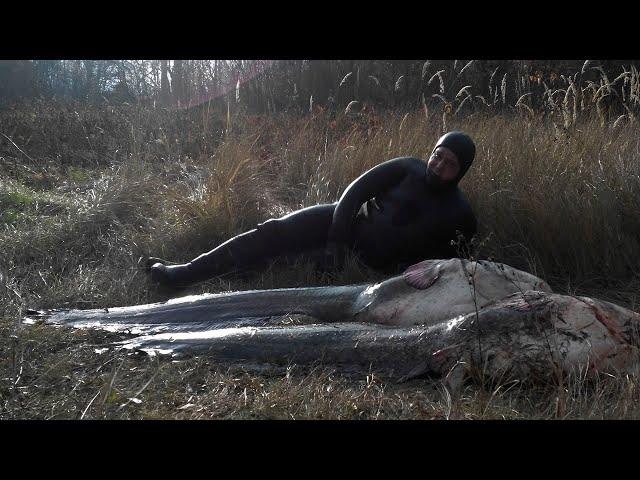 Подводная охота на СОМА (Spearfishing for Catfish)