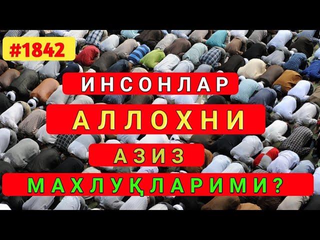 Инсонлар Аллохни азиз махлуқларими? Абдуллох Зуфар Хафизахуллох!