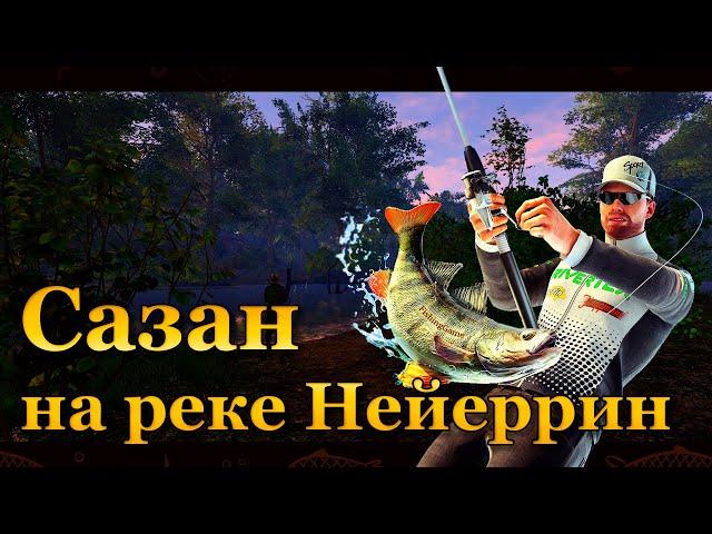  Fishing Planet. Сазан на реке Нейеррин 