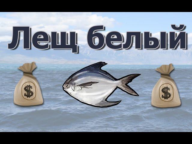 Русская Рыбалка 3.99 (Russian Fishing) Лещ морской белый на Северном свале