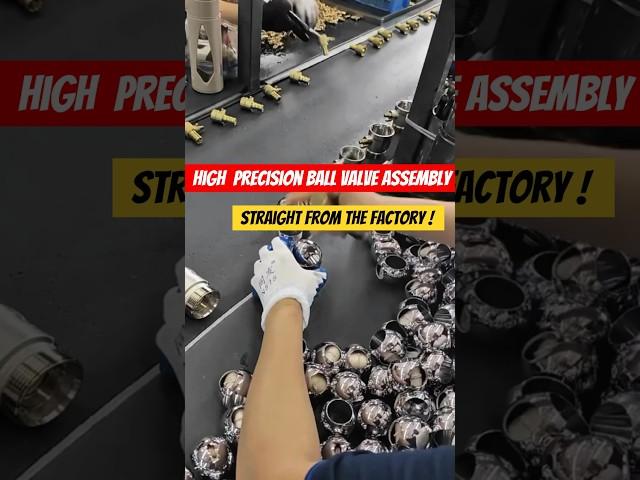 Perfect Plumbing Parts? Watch This High Quality Manual Assembly!