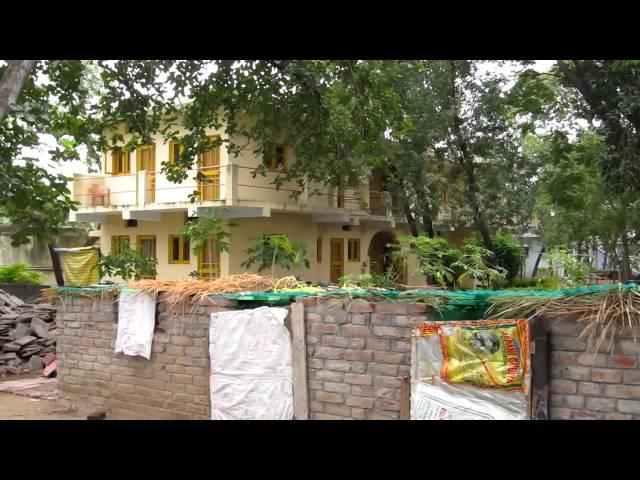 Root Institute in Bodhgaya, India