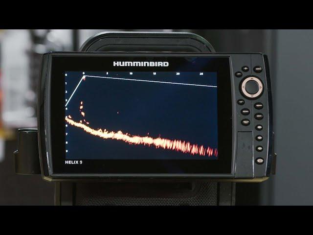 Humminbird Mega Live - Perch Fishing