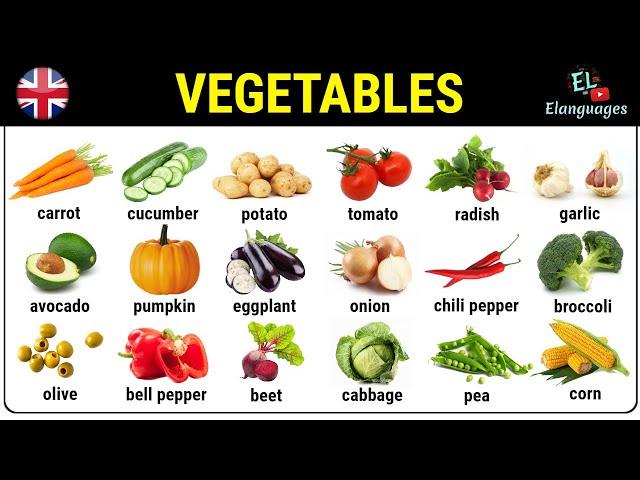 Vegetables in English vocabulary