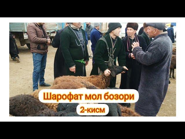 #Сешанба_мол_бозори dehqonobod mol bozori карши мол бозори