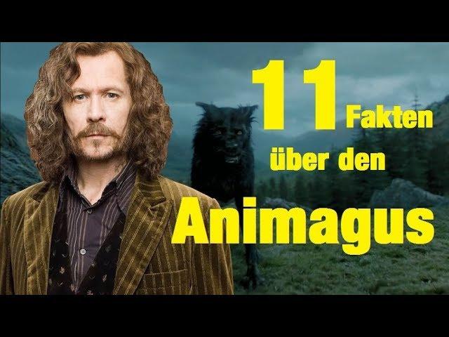 11 FAKTEN über den ANIMAGUS