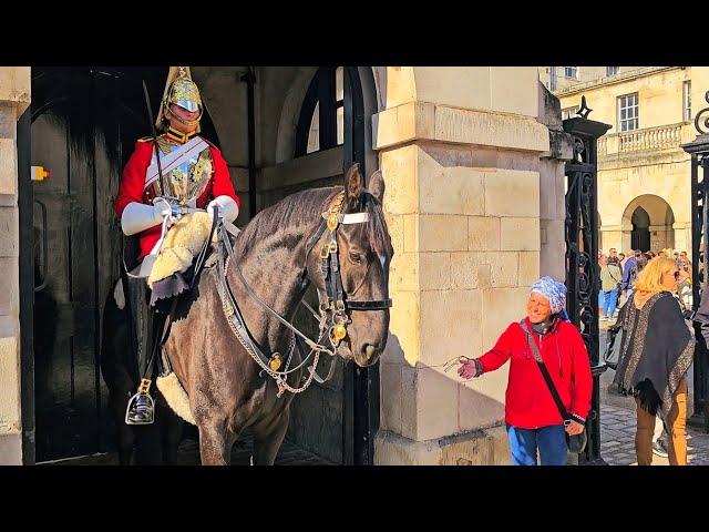 CACKLING KAREN RETURNS TO SEEK ATTENTION AND EVEN THE HORSE LOOKS UPSET at Horse Guards!