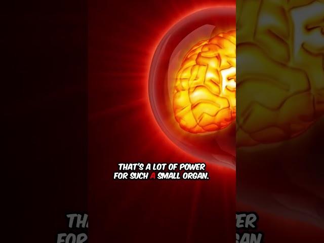 Brain Power Unleashed! #science #facts #mindset #fun