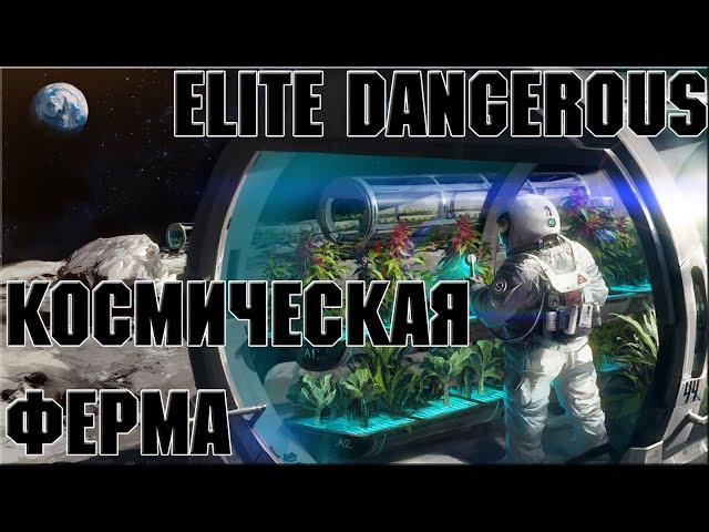 КОСМИЧЕСКАЯ ФЕРМА | ELITE DANGEROUS