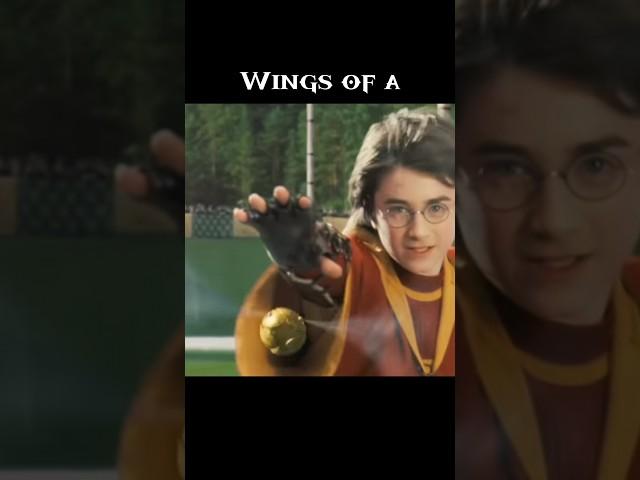 Harry Potter  Edit  Choose your Fighter 