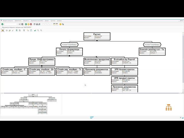 SAP для начинающих. Как настроить модель процессов в SAP HR