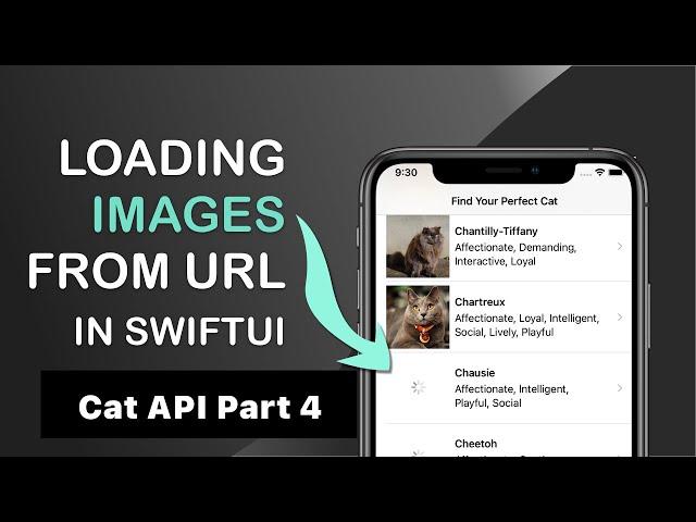 Loading and caching images from URL in SwiftUI - AsyncImage or custom view model logic